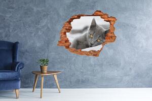 Díra 3D fototapeta nálepka Šedá kočka nd-c-43951156