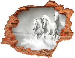 Díra 3D fototapeta na stěnu Bílí koně nd-c-44040199
