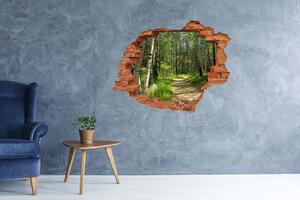 Díra 3D ve zdi nálepka Stezka v lese nd-c-4509873
