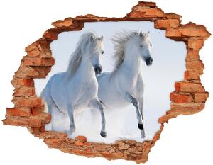 Díra 3D fototapeta na stěnu Dva koně ve sněhu nd-c-46568530