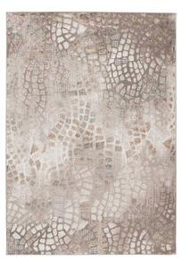 Lalee Kusový koberec Milas 202 Silver-Beige Rozměr koberce: 200 x 290 cm