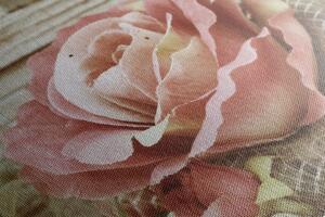 Obraz růžová vintage růže