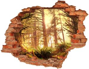 Díra 3D ve zdi nálepka Deštný prales nd-c-49624439