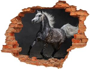 Díra 3D fototapeta na stěnu Šedý arabský kůň nd-c-49747605