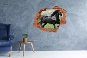 Díra 3D fototapeta na stěnu Černý kůň květiny nd-c-51258832