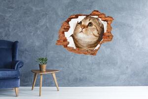 Díra 3D fototapeta na stěnu nálepka Kočka nd-c-52539481