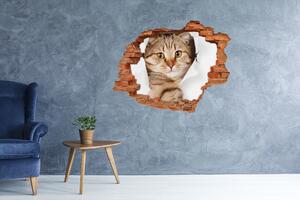 Díra 3D fototapeta na stěnu nálepka Kočka nd-c-52539512