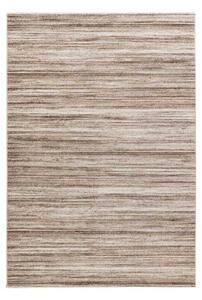 Lalee Kusový koberec Trendy 406 Beige Rozměr koberce: 160 x 230 cm