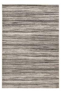 Lalee Kusový koberec Trendy 406 Silver Rozměr koberce: 120 x 170 cm