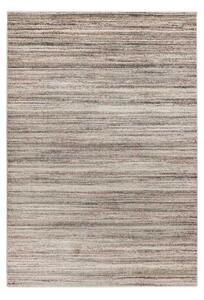 Lalee Kusový koberec Trendy 406 Beige-Silver Rozměr koberce: 160 x 230 cm
