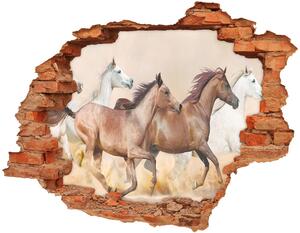 Díra 3D fototapeta nálepka Koně ve cvalu nd-c-56781097