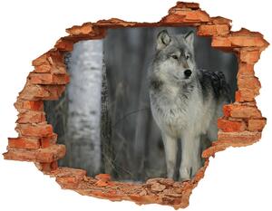Díra 3D fototapeta na stěnu Šedý vlk nd-c-57875164