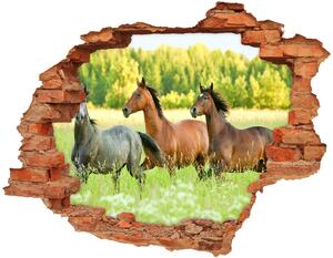 Díra 3D fototapeta nálepka Koně ve cvalu nd-c-58845191