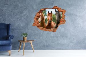 Díra 3D fototapeta na stěnu Tři koně nd-c-58776709