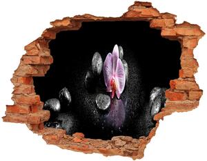 Samolepící díra na stěnu nálepka Orchidej nd-c-60629892