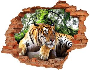 Díra 3D fototapeta na stěnu Tygr na skále nd-c-61968911