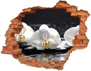 Samolepící díra na stěnu nálepka Orchidej nd-c-62952104