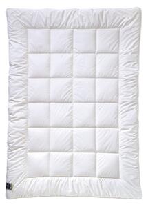 ZIMNÍ PŘIKRÝVKA, 155/220 cm, polyester Billerbeck - Přikrývky, Online Only
