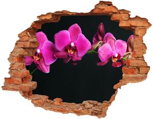 Samolepící díra nálepka Orchidej nd-c-64284743