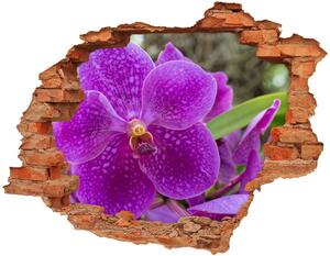 Samolepící díra nálepka Orchidej nd-c-64607986