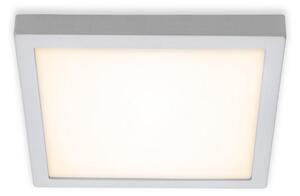 Briloner 7142-014 - LED Stropní svítidlo FIRE LED/21W/230V 3000K BL1102