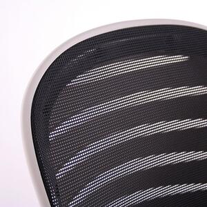 Otočná kancelářská židle Sego COOL WHITE — černá/bílá