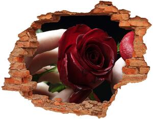 Fotoobraz díra na stěnu Žena s růží nd-c-6668624