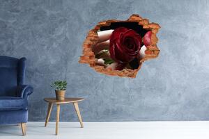 Fotoobraz díra na stěnu Žena s růží nd-c-6668624