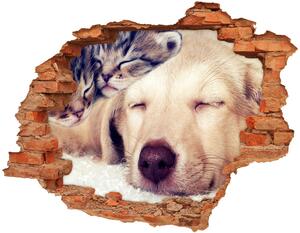 Díra 3D fototapeta na stěnu Štěně a kočky nd-c-67600578