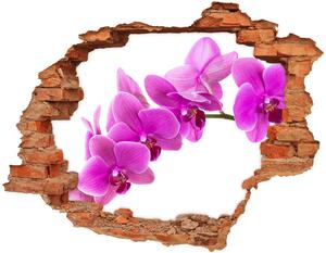 Samolepící díra nálepka Růžová orchidej nd-c-67691978