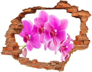 Samolepící díra nálepka Růžová orchidej nd-c-67673367