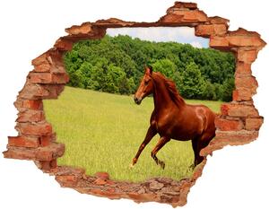 Díra 3D fototapeta na stěnu Kůň na louce nd-c-68119926