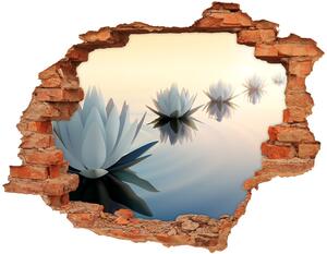 Samolepící díra na stěnu Květy lotosu nd-c-68298321
