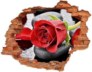 Samolepící díra na stěnu Červená růže nd-c-69893127