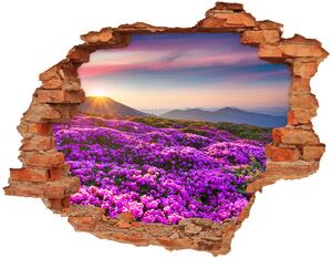 Samolepící díra na stěnu Květiny v horách nd-c-70454274
