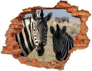 Díra 3D fototapeta nálepka Dvě zebry nd-c-70684470