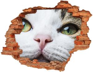 Díra 3D fototapeta nálepka Zelená kočičí oči nd-c-72425776