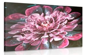 Obraz magický růžový květ - 60x40 cm