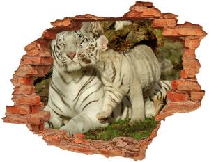 Díra 3D fototapeta nálepka Tygři nd-c-73601237