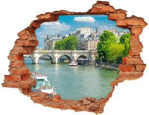 Fototapeta díra na zeď 3D Seina Paříž nd-c-73852810