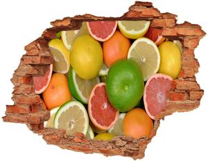 Nálepka 3D díra Citrusové ovoce nd-c-75213206
