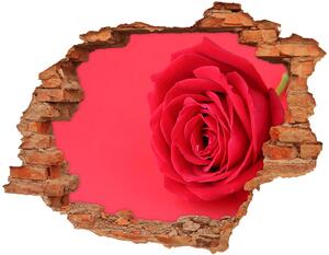 Díra 3D fototapeta na stěnu Červená růže nd-c-77656963