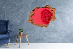 Díra 3D fototapeta na stěnu Červená růže nd-c-77656963