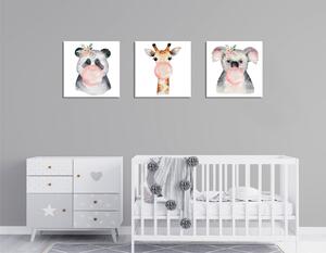 ASIR Sada nástěnných obrazů ANIMALS 3 ks