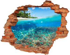Nálepka fototapeta 3D výhled Korálový útes nd-c-78236057