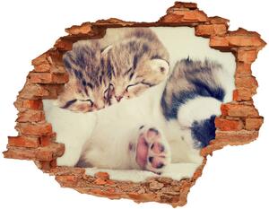 Díra 3D fototapeta na stěnu Dvě kočky a pes nd-c-78906407