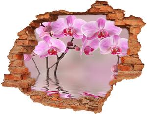 Samolepící díra na stěnu Růžová orchidej nd-c-79883275