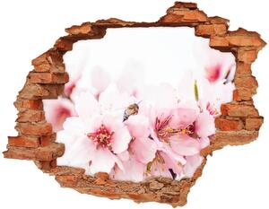 Samolepící díra na stěnu Květy višně nd-c-79943111