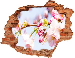 Samolepící díra na stěnu Květy višně nd-c-81280422