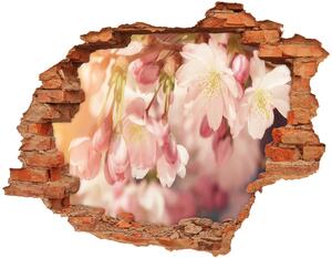 Samolepící díra na stěnu Květy višně nd-c-81037561